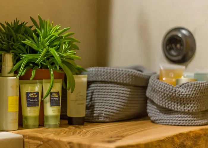 Nomad Apartman Kolozsvár